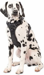 PetCraft Premium Dog Harness L