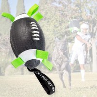 HyperPet 7in Football