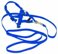 Hamilton Adjustable Puppy and Cat Harness and Lead, 3/8 inch x 10-16 inch Harness and 4ft Lead, Blue