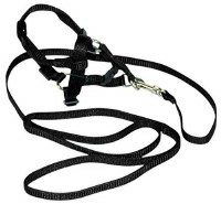 Hamilton Adjustable Puppy and Cat Harness and Lead, 3/8 inch x 10-16 inch Harness 4ft Lead, Black