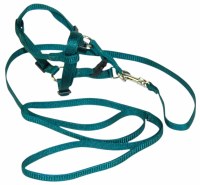 Hamilton Adjustable Puppy and Cat Harness and Lead, 3/8 inch x 10-16 inch Harness, Green