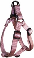 3/4x20-30 RoseQuartz Harness