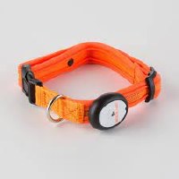 LED Collar Orange 13In