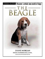 4Paws Terra Nova The Beagle Bk