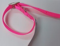 1/2x14 Nylon Collar Neon Pink