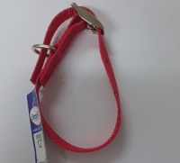 1/2x12 Nylon Collar Red