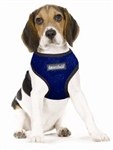 DoggiDuds Blue Harness Xsm