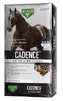 Buckeye Cadence Horse 50Lb