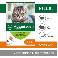 Advantage II Sm Cat 5-9Lb 6pk