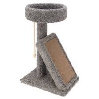 Playground Perch W/Cardboard