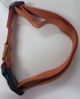 1x20-30 Collar Burnt Orange