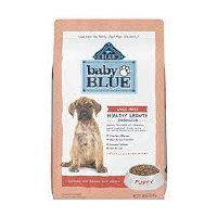 BB Baby Blue LrgBrd Puppy 24Lb
