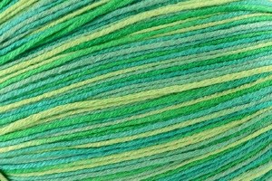 Picture of Bamboo Pop