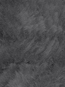 Furreal - Glacier Bear
