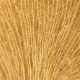 Aerial - Goldenrod