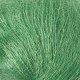 Aerial - Lime