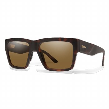 LINEUP SUNGLASSES