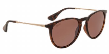 MAYWOOD SUNGLASSES