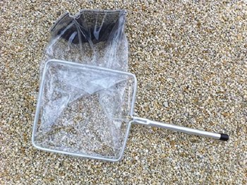 TROPICAL FISH NET COLLECTION, BLACK (LARGE SIZE)