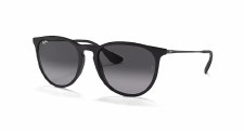 ERIKA CLASSIC SUNGLASSES