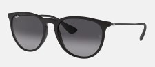 ERIKA CLASSIC SUNGLASSES