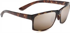 POKOWAI ARCH SUNGLASSES