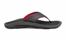 KIPI MEN'S BEACH SANDALS