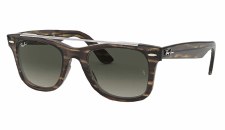 WAYFARER DOUBLE BRIDGE SUNGLASSES