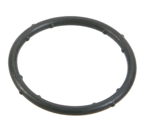 Coolant Flange Seal