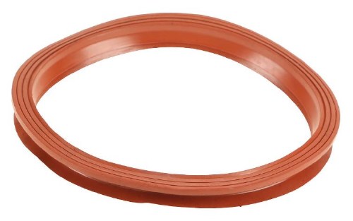 Fuel Pump Seal