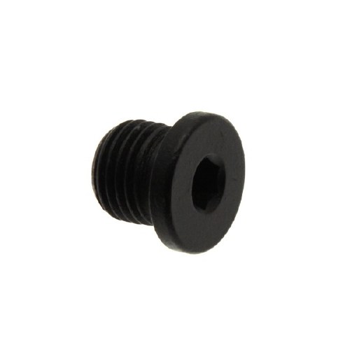 Oil Drain Plug