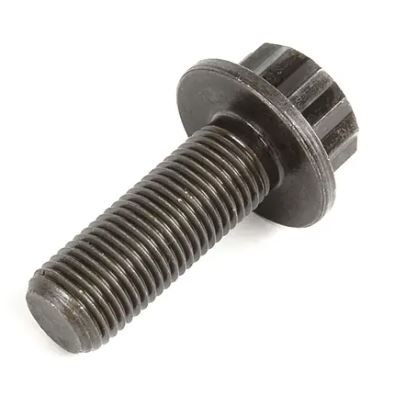 Crank Bolt