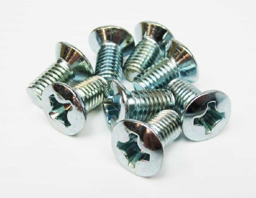 Door Hinge Screw - Set of 8