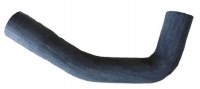 Coolant Hose