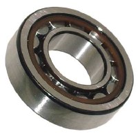Rear Axle Bearing - Outer IRS