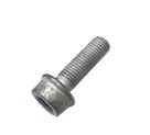 Caliper Carrier Bolt - EACH