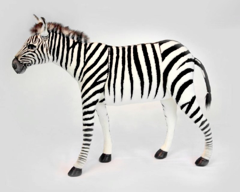 hansa zebra