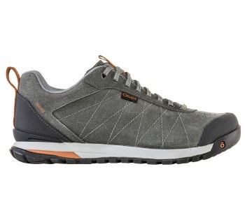 Men's Bozeman Low Leather