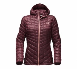 Women's Thermoball Hooded Jacket