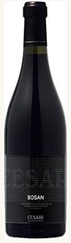 Cesari Bosan Amarone 2005