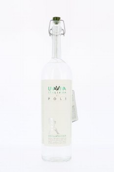 Jacopo Poli Uvaviva Italiana di Poli Grape Brandy 750 ml