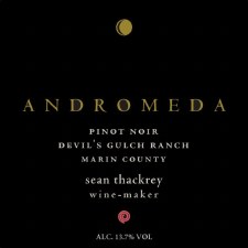 Andromeda Devils Glutch Ranch Pinot Noir 2013 750ml