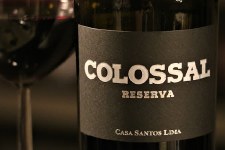 Casa Santos Lima Colossal Reserva 2016 750 ml