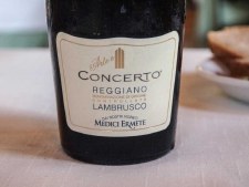 Medici Ermete Concerto Reggiano Lambrusco 2023