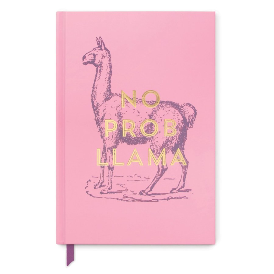 Vintage Sass Notebook No Prob Llama