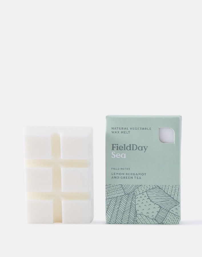 Field Day Wax Melts - Sea