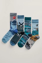 Additional picture of Seasalt Men's Postcard Socks