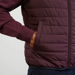 Additional picture of Eden Park Padded Gilet
