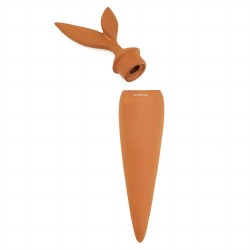 Additional picture of Kikkerland Terracotta Watering Stake