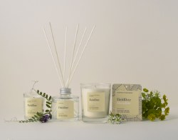 Additional picture of Field Day Candle - Meadow